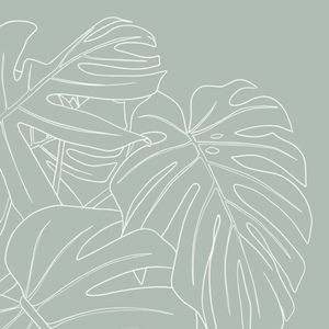 Meet your Posher, Charlotte